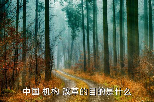 中國未來機構怎么改革,優化審計署職責推動改革取得重大突破
