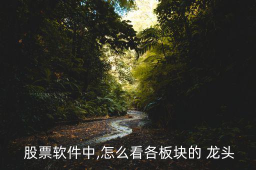 股票龍頭股怎么看,龍頭股票指數對同行業其他板塊具有影響力