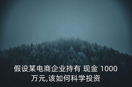 假設某電商企業持有 現金 1000萬元,該如何科學投資