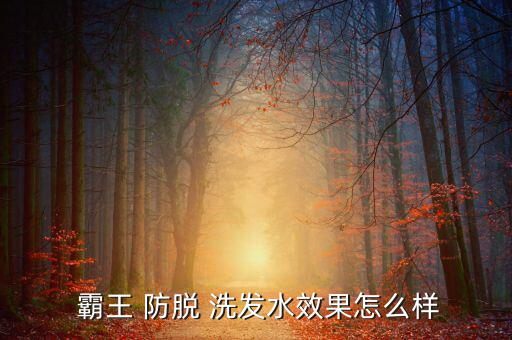  霸王 防脫 洗發水效果怎么樣