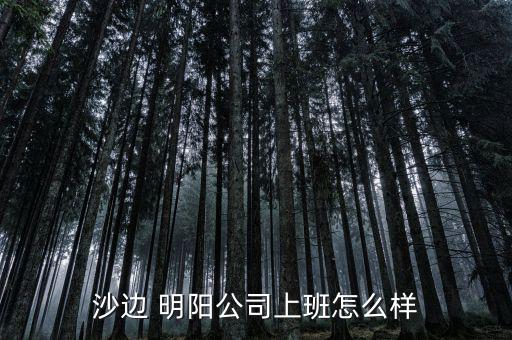 明陽風電怎么樣,中山明陽和華帝是中國民營企業的龍頭兄弟