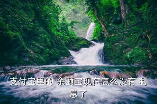 支付寶里的 余額寶現在怎么沒有 利息了