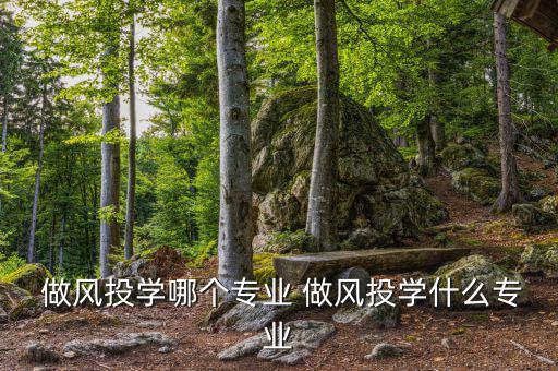  做風投學哪個專業 做風投學什么專業