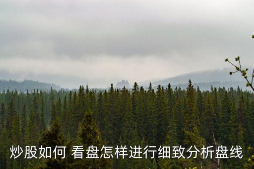 炒股如何 看盤怎樣進行細(xì)致分析盤線