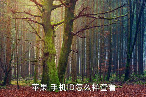 蘋果手機復權怎么看,蘋果手機是否全網通?