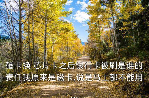 磁條芯片卡被盜刷是怎么回事,芯片卡六大優勢: