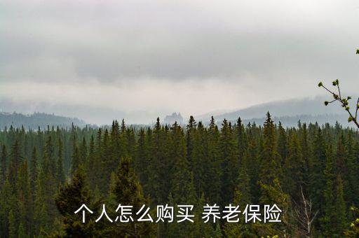 個人買養老保險怎么買,如何申請個人養老保險?