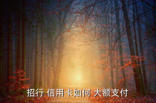 信用卡怎么大額套現,信用卡怎么辦?