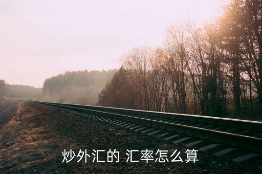 倒數匯率怎么算,出口和收匯日期分別換算成美元匯率核銷差額
