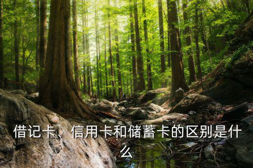 新影聯借記卡怎么樣,借記卡和信用卡之別