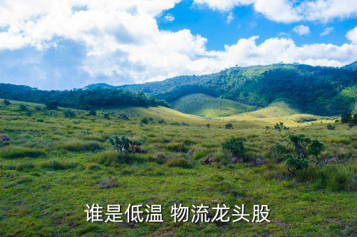 鐵龍物流怎么樣,金海捷亞物流管理公司機場倉儲業務發展迅速