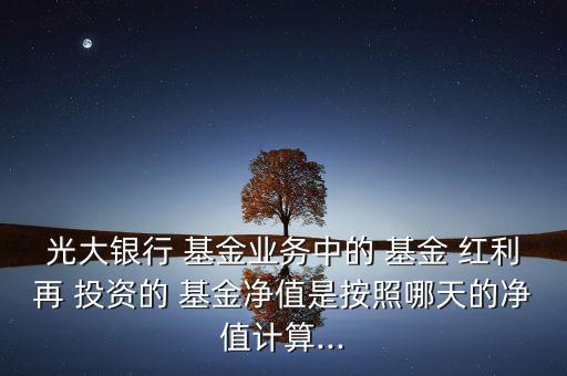 光大銀行 基金業務中的 基金 紅利再 投資的 基金凈值是按照哪天的凈值計算...