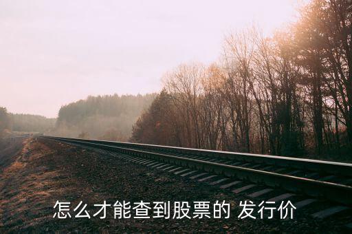 怎么才能查到股票的 發行價