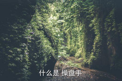 股票操盤手怎么,如何成為一個專業的股票操盤手?