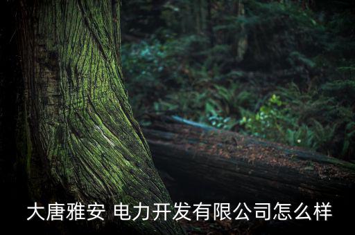 四川大唐電力怎么樣,大唐雅安電力開發有限公司是企業法人凌