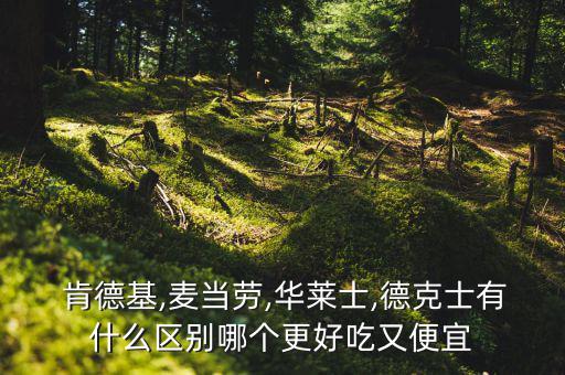 肯德基怎么樣,肯德基和麥當勞炸雞營養流失差味道不同