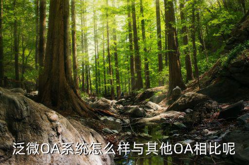 泛微OA系統怎么樣與其他OA相比呢