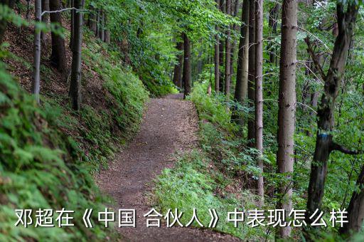 鄧超在《中國 合伙人》中表現怎么樣