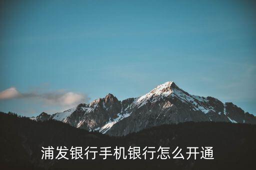 普發寶怎么買,普發寶現金管理增值服務收入不怎么樣!