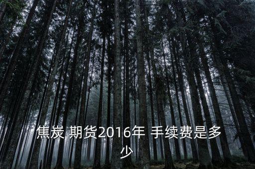  焦炭 期貨2016年 手續費是多少