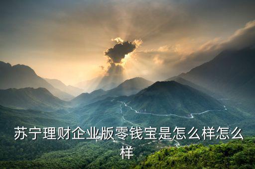 蘇寧財力怎么樣,蘇寧理財企業版零錢寶怎么樣?