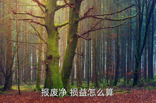 損益怎么算,廢報廢損益計算公式:固定資產清理后的凈損益