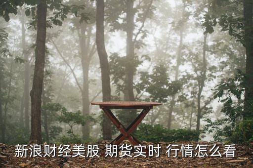 怎么看期貨行情,財經網站可查看美股指數期貨實時行情等