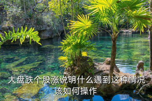 大盤連續跌怎么辦,下跌股票該怎么辦?