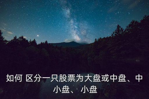 如何 區分一只股票為大盤或中盤、中 小盤、 小盤