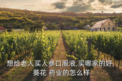 葵花藥業醫藥代表怎么樣,醫藥代表不是藥販而是藥房老板