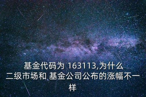 163113基金怎么樣,兩只基金可通過境內基金系統申購贖回