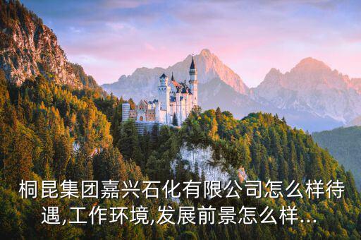  桐昆集團嘉興石化有限公司怎么樣待遇,工作環境,發展前景怎么樣...