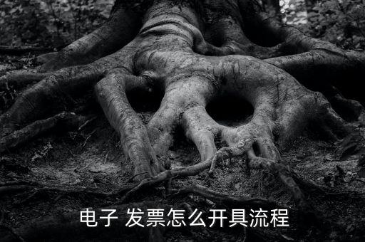  電子 發票怎么開具流程