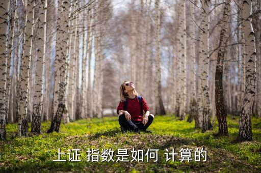 上證 指數是如何 計算的