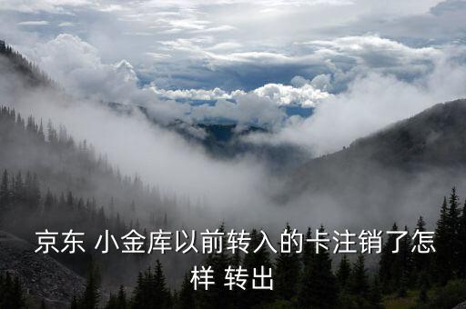  京東 小金庫以前轉入的卡注銷了怎樣 轉出