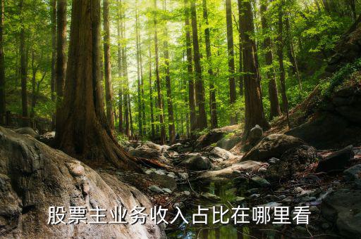 股票主業務收入占比在哪里看