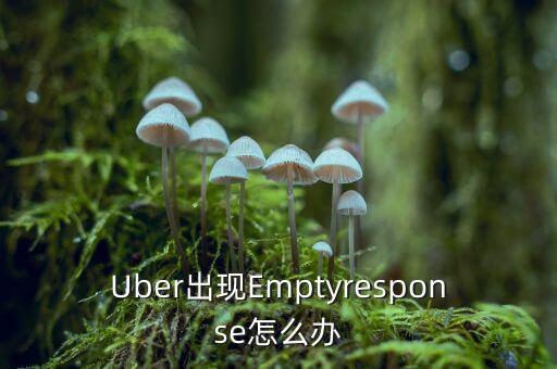 uber怎么了,美國打不到車可直接發郵件到uber說明情況