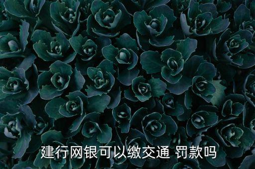 建行網上怎么交罰款,建行網銀罰款操作流程如何?