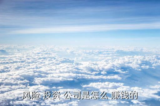 投資公司怎么賺錢的,理財公司用散戶的錢投資實業賺錢?