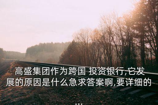  高盛集團作為跨國 投資銀行,它發展的原因是什么急求答案啊,要詳細的...