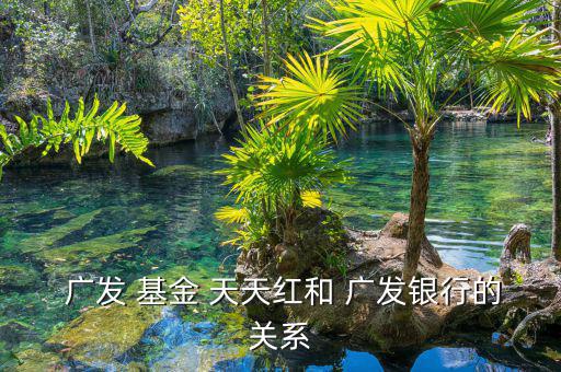 廣發天天紅貨幣基金怎么樣,廣發銀行推出什么基金?