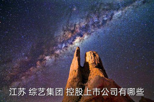 上海綜藝控股有限公司怎么樣,我認為上發控股是國企