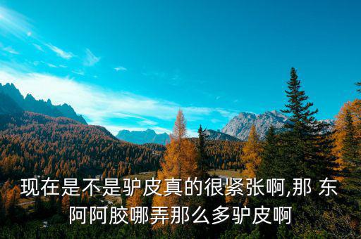 現在是不是驢皮真的很緊張啊,那 東阿阿膠哪弄那么多驢皮啊