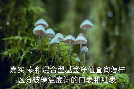  嘉實 泰和混合型基金凈值查詢怎樣區分玻璃溫度計的口表和肛表