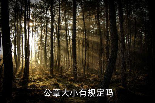 公章小怎么辦,國務院辦公廳等機構印章從左至右循環制發