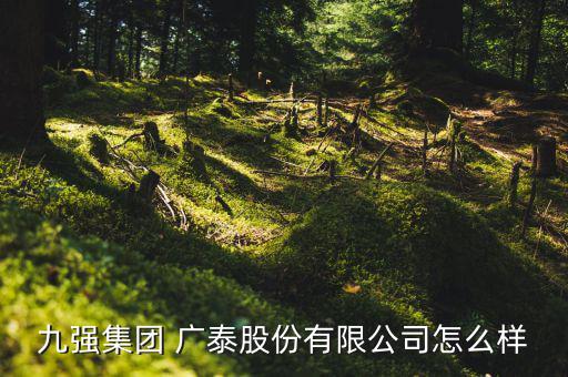 廣泰系統怎么樣,泰精密科技蘇州有限公司怎么做?
