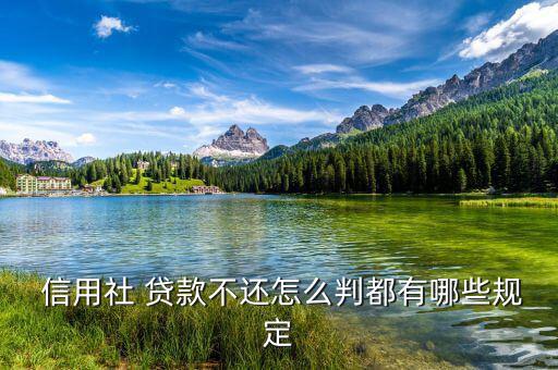 信用貸款不還怎么量刑,若暫無力還款可協商延期或分期還款