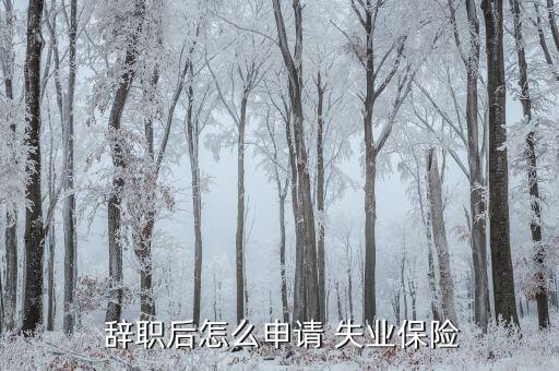 辭職怎么拿到失業險,失業符合下列條件的可領取保險金