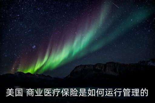 美國的商業怎么玩,美國保險公司重視商業醫保的信息