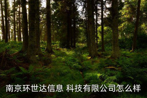 信世達科技怎么樣,南京環世達信息科技有限公司王建為企業法人